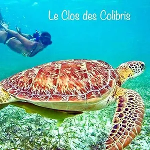 https://colibris-le-carbet.comcaribbean.com